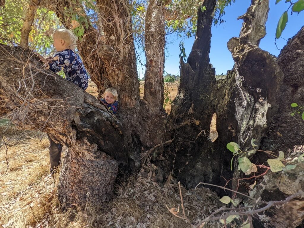 Sonnybrook View Farm, About Sonnybrook, Australian Homestead, Australian Homeschool Family