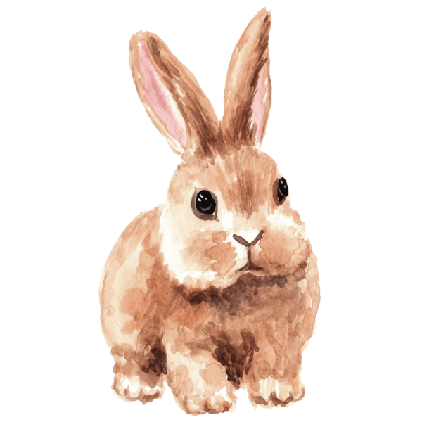 Sonnybrook Rabbit, Moonbrook Rabbit, Rabbit Meat, Homestead Rabbit, Rabbit Processing Course